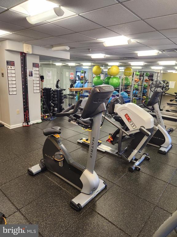 Building Photo - 900 N Stafford St