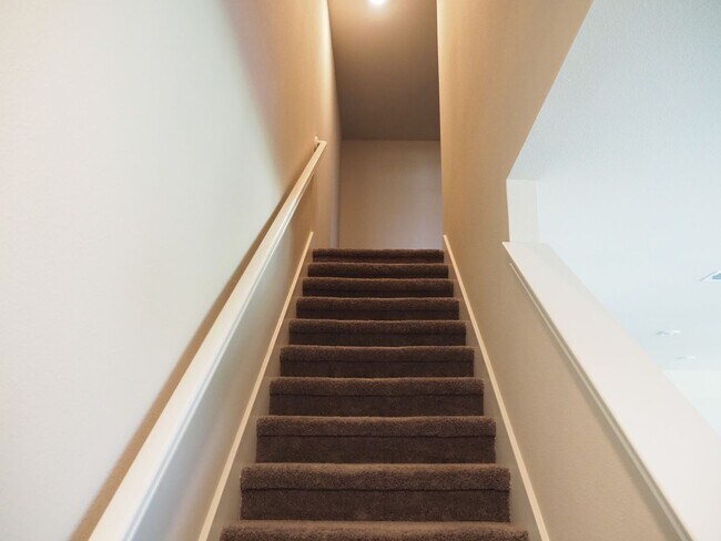 Building Photo - 3117 Solana Cir