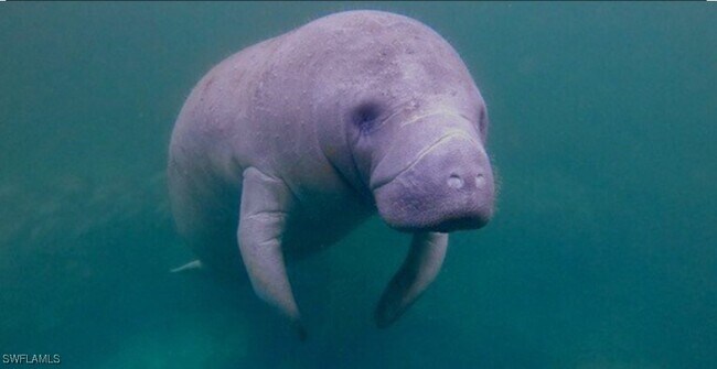 Building Photo - 333 Sunrise Cay