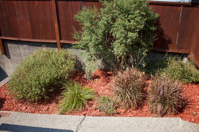 Building Photo - 119 Jewell Ct