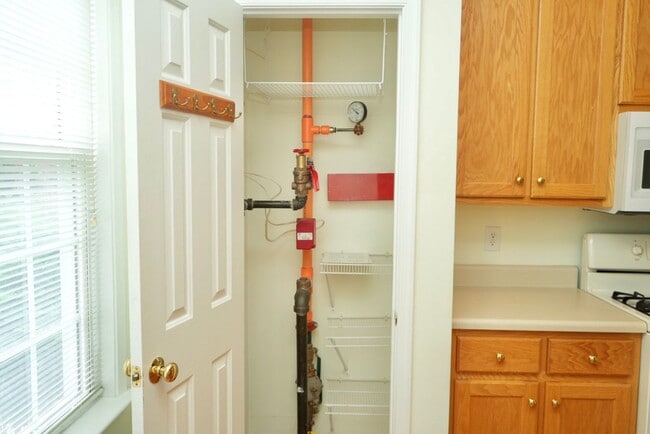 Building Photo - 1119 Somerchase Ct