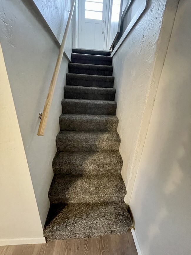 Stairs to basement - 1831 Smith St