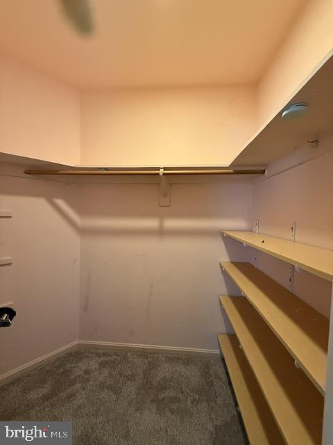 Building Photo - 3059 Huntington Cir