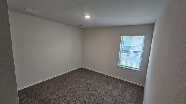 Building Photo - 4116 Amethyst Dr