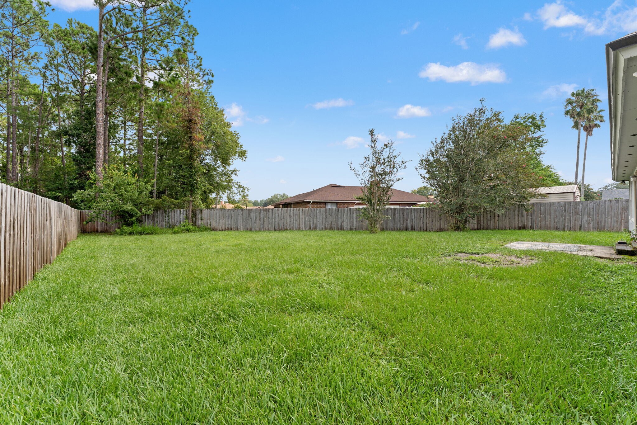 Backyard - 1845 Daytona Ln N