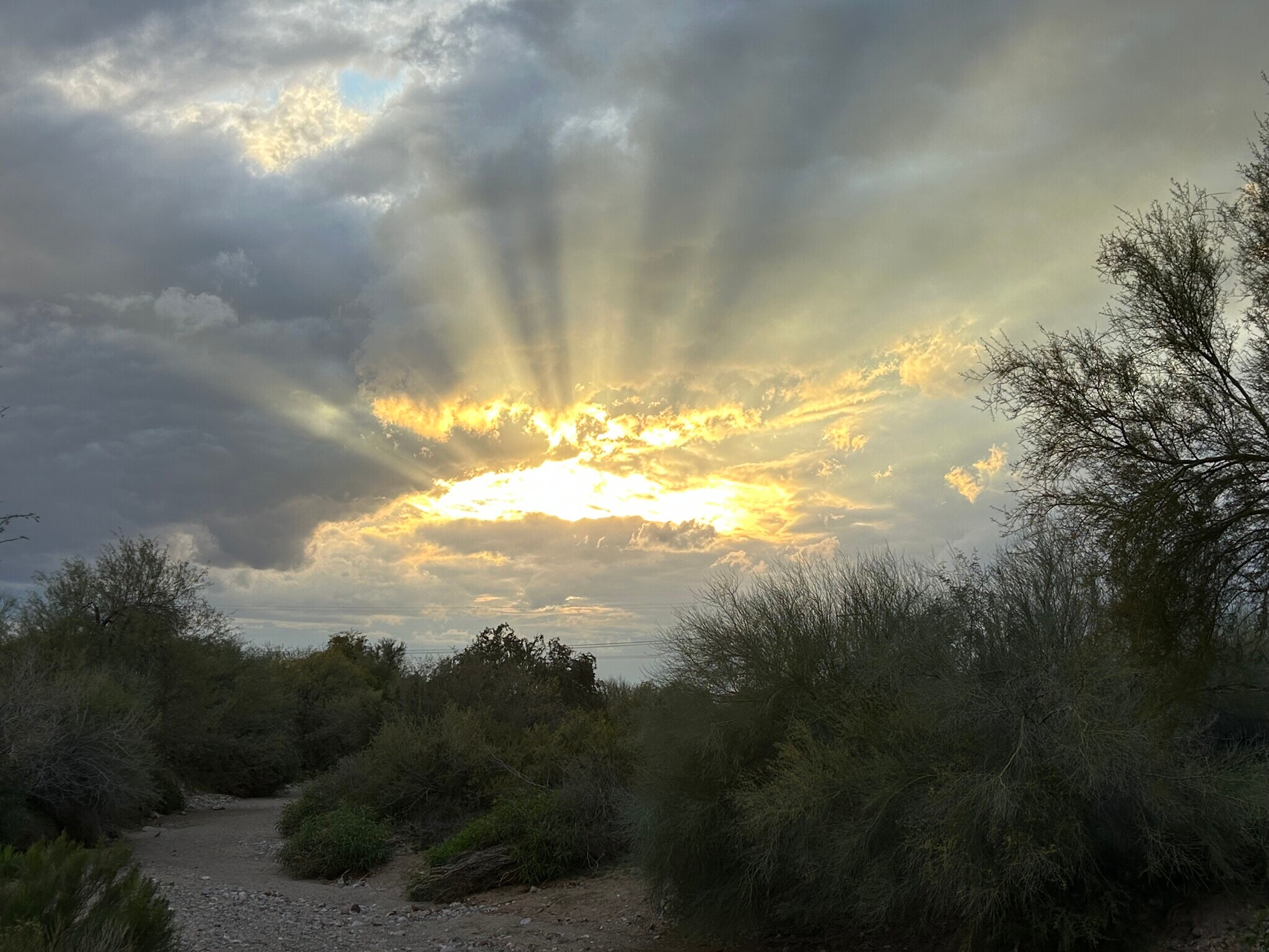 Building Photo - 10177 E La Palma Ave