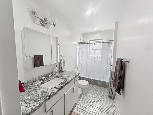 Building Photo - Spacious 1 BR - New Renovation Near the Lake on Quiet Block!