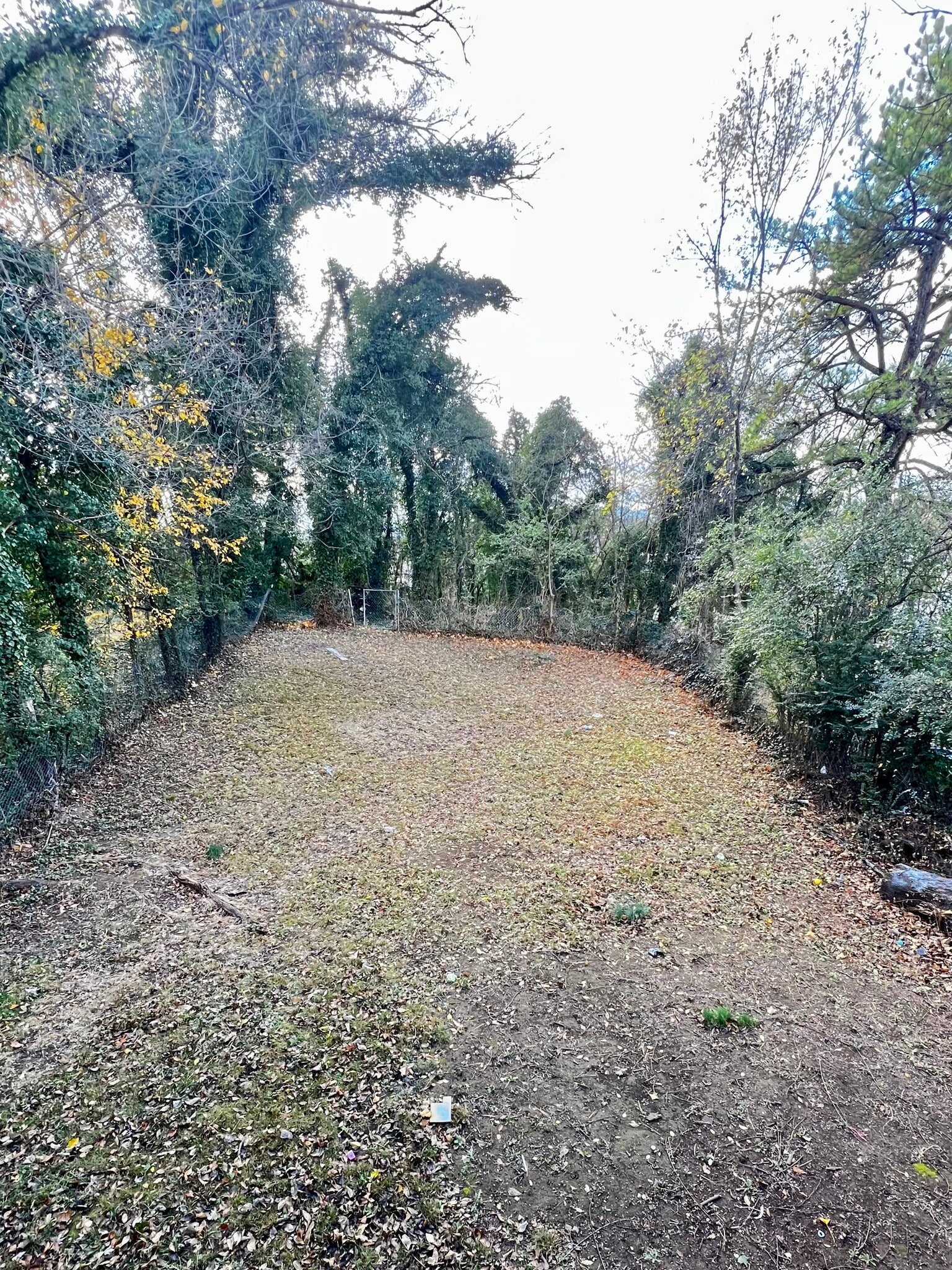 Building Photo - 728 Harrison Ave NW