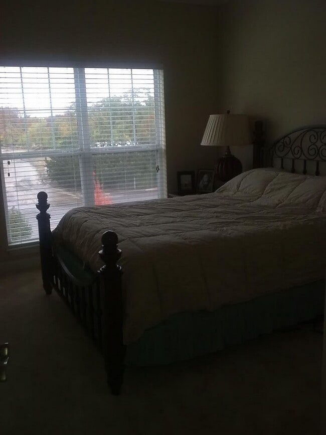 Building Photo - 2602 McKnight Crossing Ct