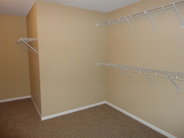 Building Photo - 10373 Camby Crossing