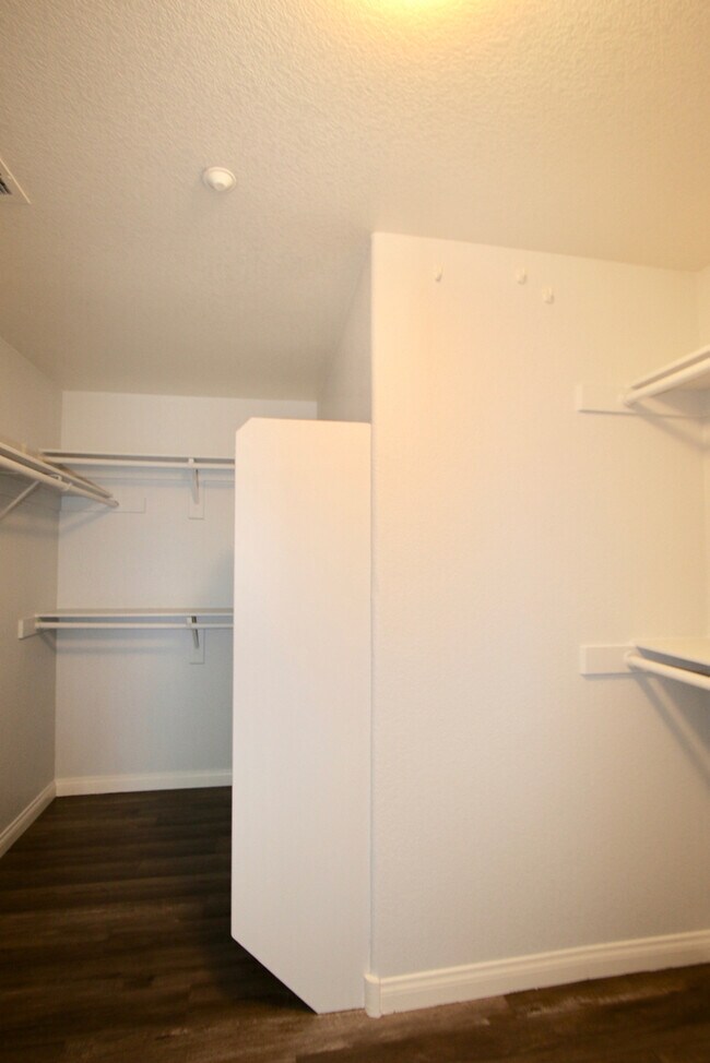 Building Photo - Beautiful 2BR / 2BA Renovated / Modern Con...