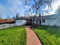 Building Photo - Stunning 3 Bed + 2 Bath Los Altos House - ...