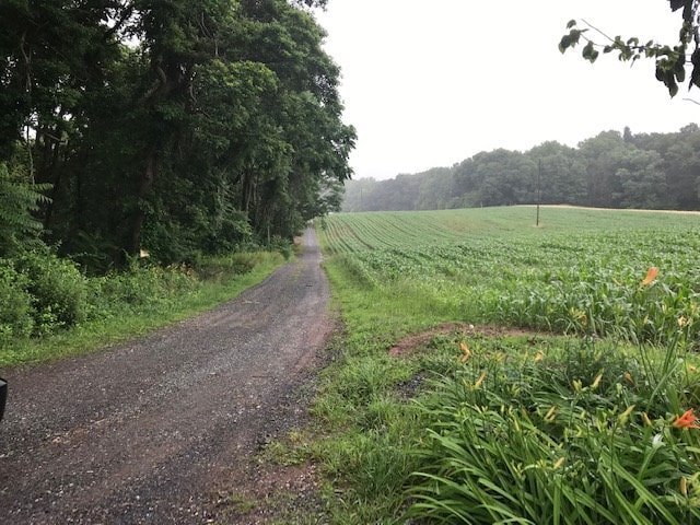 Building Photo - $1700 Farmhouse Palmyra 4 bedroom 1.5 bath