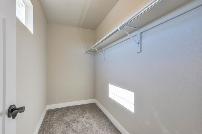 Building Photo - Beautiful, Dog Friendly, 3 Bedroom, 2.5 Ba...