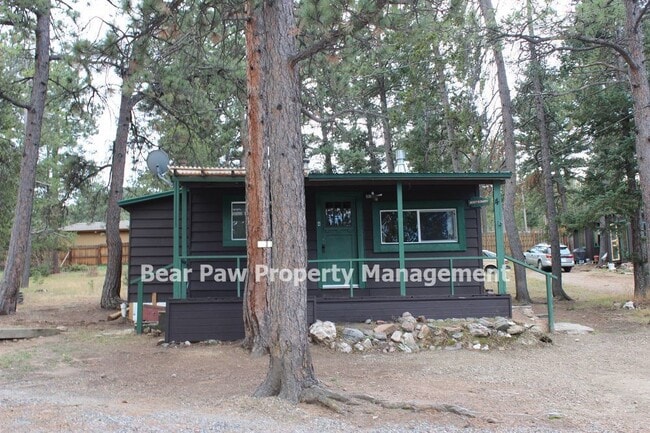 Building Photo - Adorable cabin in Evergreen!