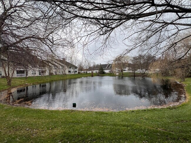 Building Photo - 2664 S Knightsbridge Cir