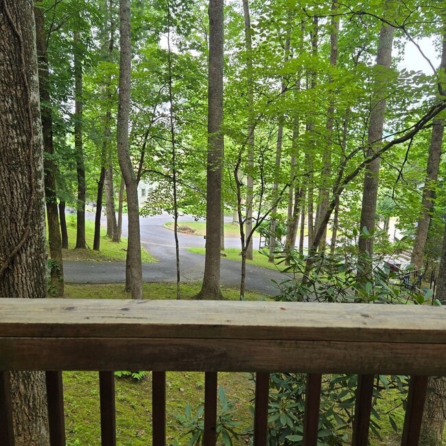 Building Photo - 2 Bed 1.5 Bath North Johnson City Duplex S...