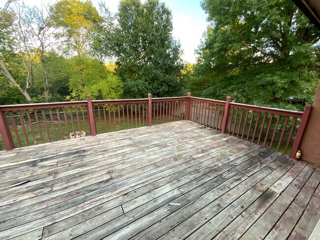 Building Photo - Large 4 Bedroom/3 Bath House with Basement!