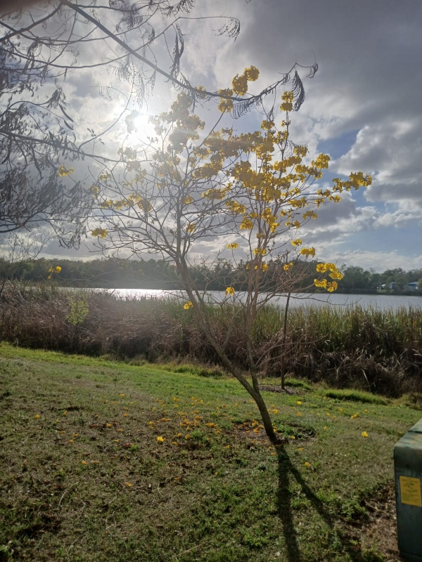 Building Photo - 4308 Aqua Vista Dr