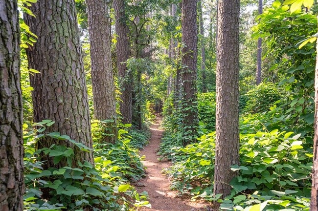 Building Photo - 3211 Winding Trail