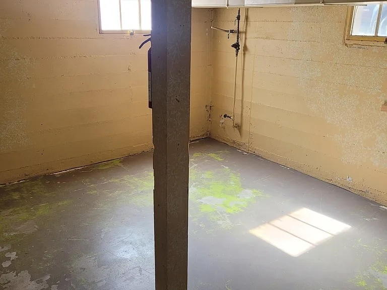 basement (floor will be newly painted) - 3648 Ames St