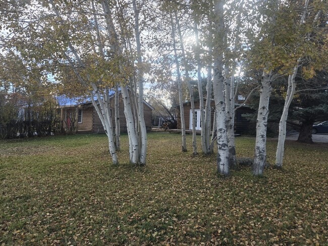 Building Photo - 206 S Sublette Ave