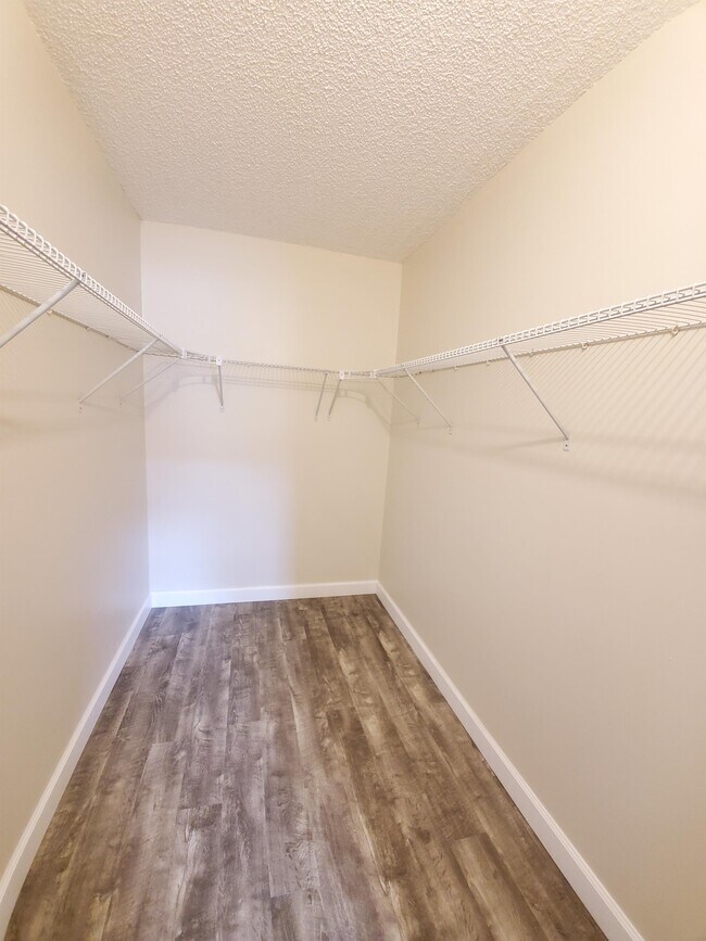 Building Photo - 6040 Shaker Wood Cir