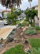 Building Photo - LUXURY LIVING AT AN AFFORDABLE PRICE