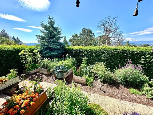 Building Photo - 3 Bedroom House For Rent In White Salmon