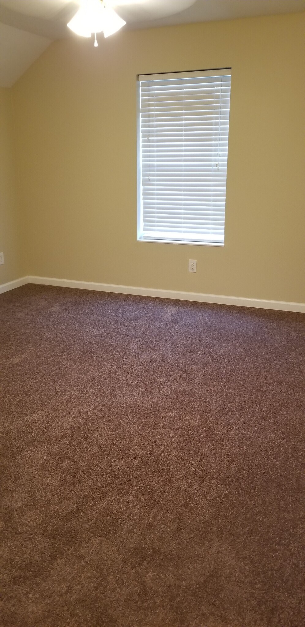 Building Photo - 821 Plantation Dr