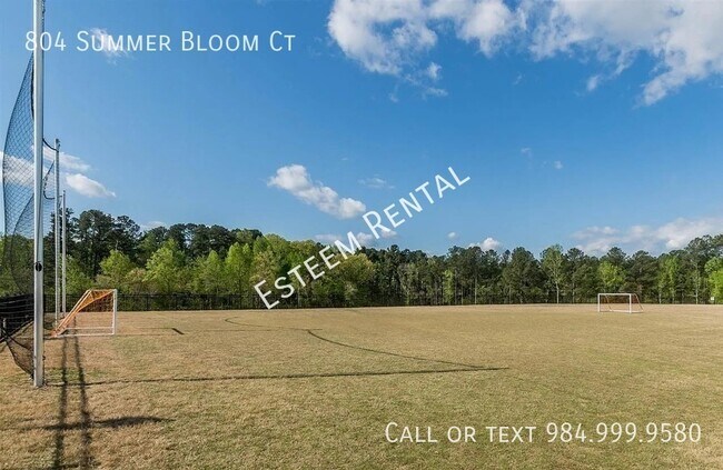 Building Photo - 804 Summer Bloom Ct