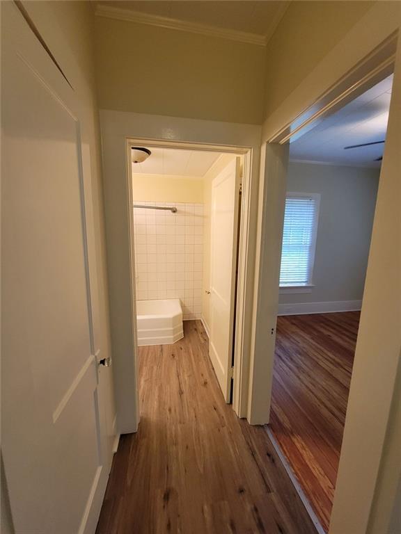 Building Photo - 251 Archer St