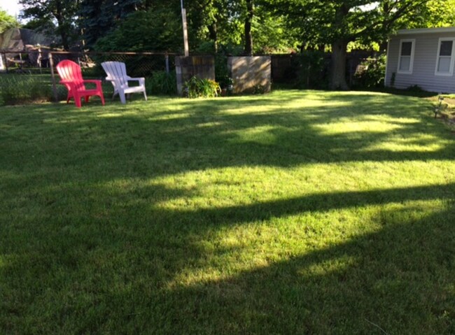 Yard - 265 Common St