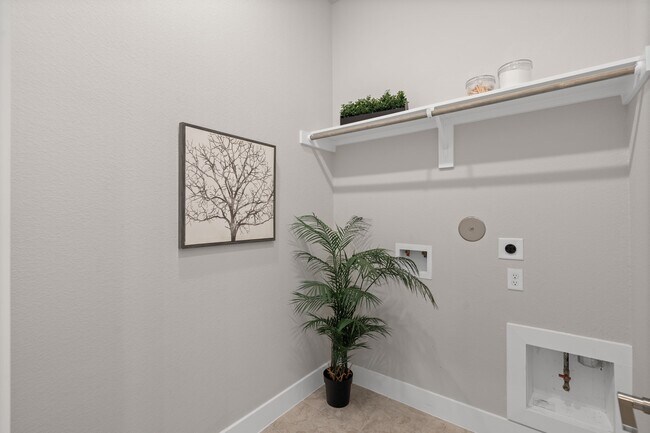 Building Photo - 2203 Fresh Flower Wy