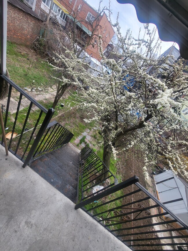 Primary Photo - 912 E 220th St
