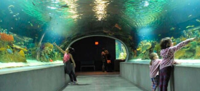 Building Photo - Scottsdale