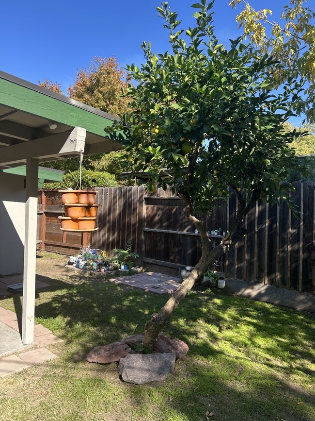 Building Photo - 402 Helen Ave