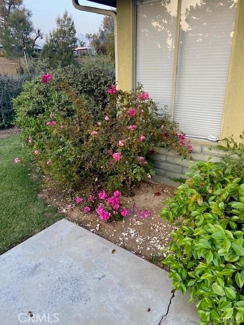 Building Photo - 30895 Palo Alto Dr