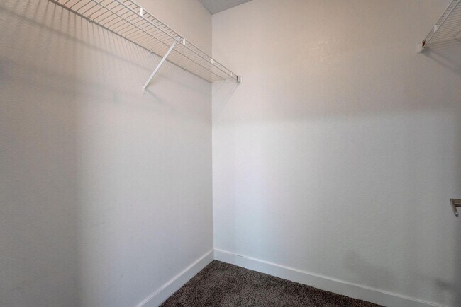 Building Photo - 7905 Idledale Ct