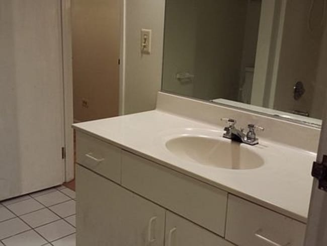 Bathroom sink - 800 N Lakeside Dr, 2B