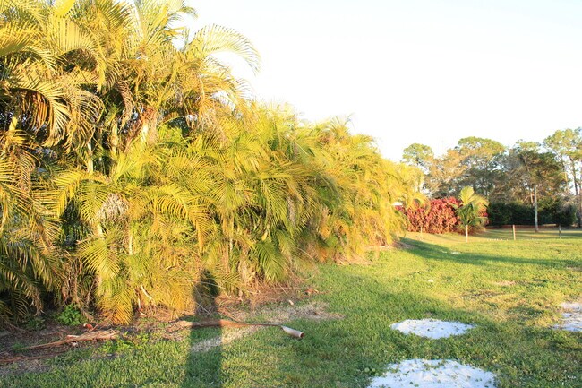 Building Photo - 11988 49th St N