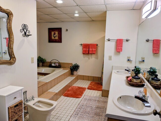 Building Photo - 842 Saddle Back Cir