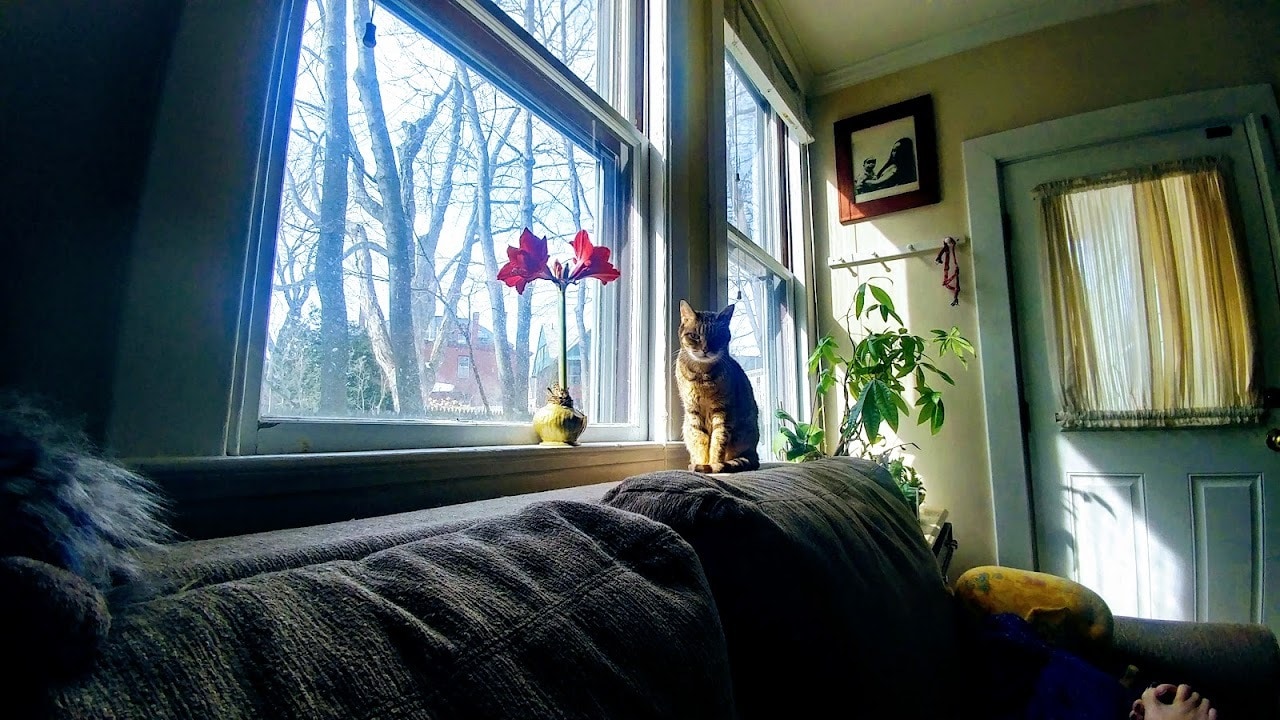 Building Photo - 325 Spring St