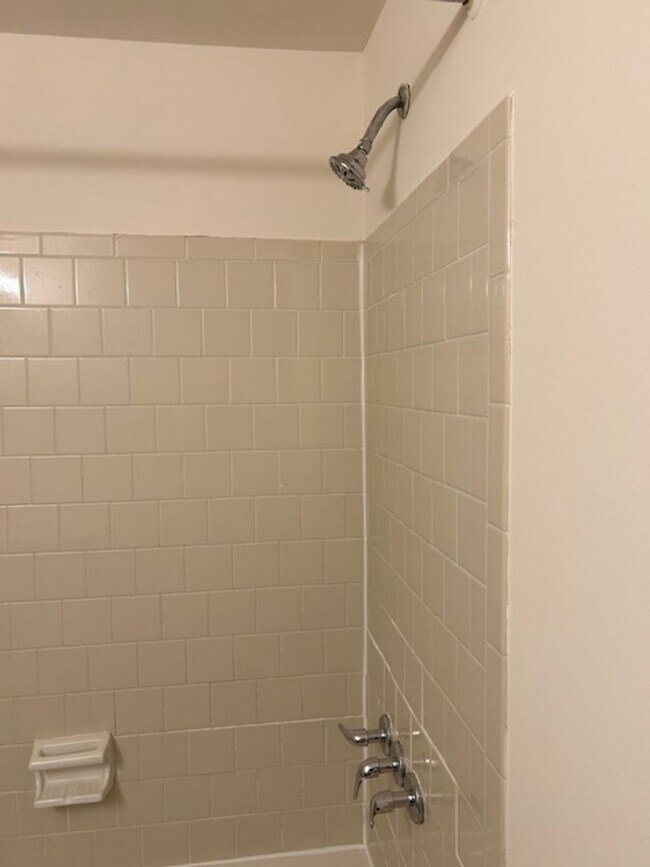 Building Photo - 1107 Soho Ct