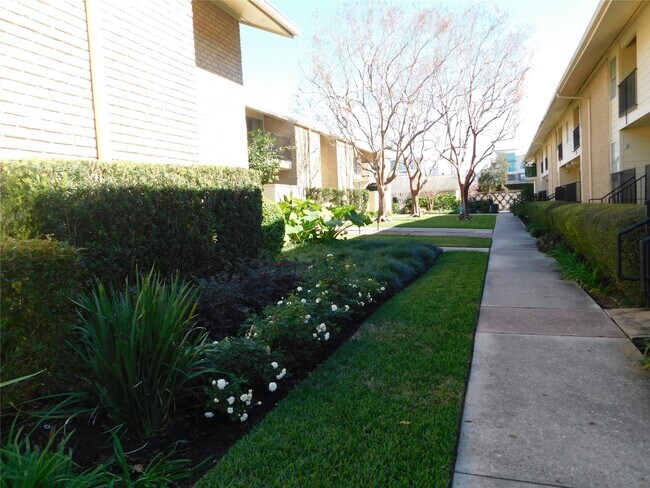 Building Photo - 3131 Cummins St