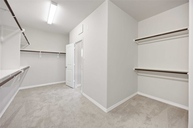 Building Photo - 3450 Talia Wood Ct