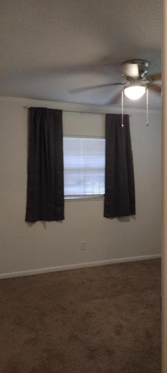 Building Photo - 20161 SW 85th Pl
