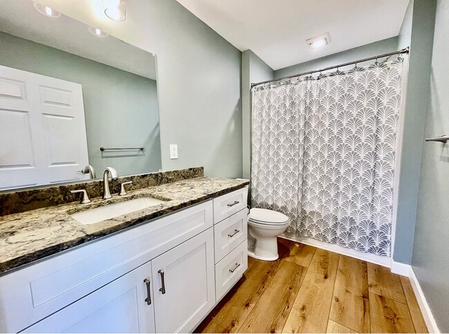 Building Photo - GORGEOUS NEW CONSTRUCTION IN HENDERSONVILLE