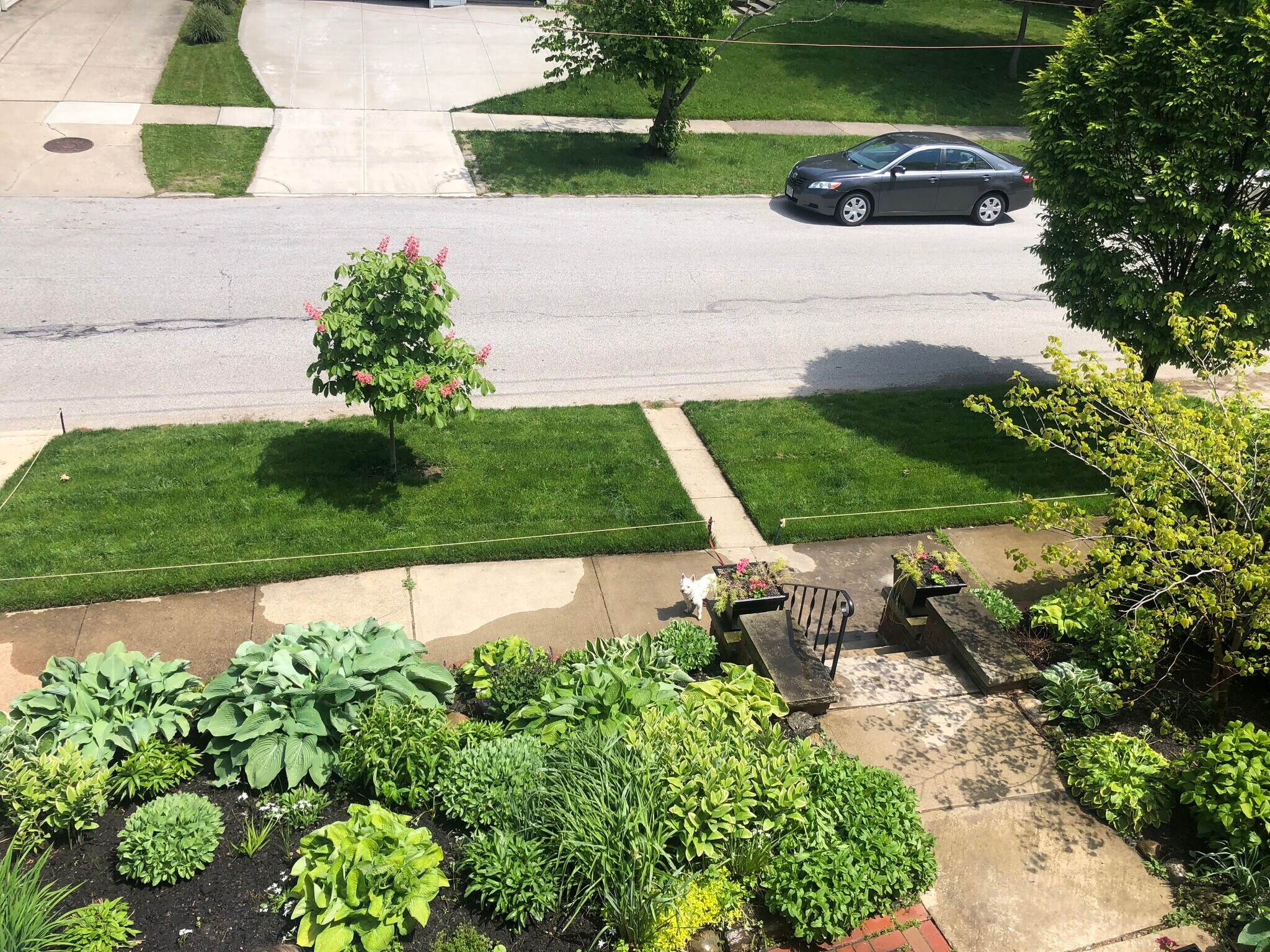 Building Photo - 1124 Summit Ave