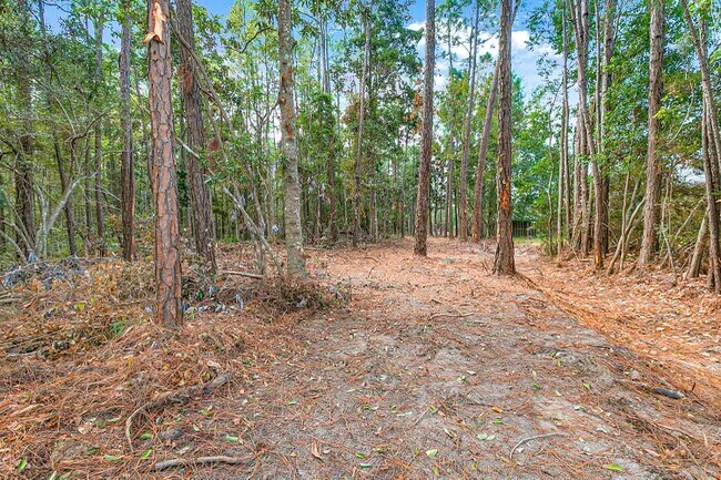 Building Photo - 164 Golden Meadow Dr